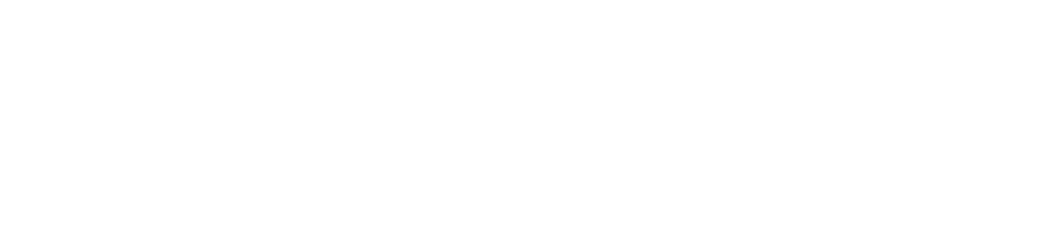 SwedSafe_logo_neg SwedSafe logo